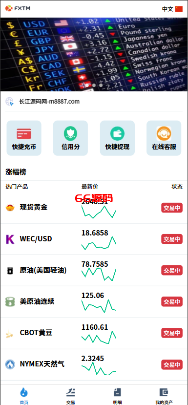 多语言海外外汇微交易微盘系统源码/虚拟币黄金期货外汇微盘-66源码
