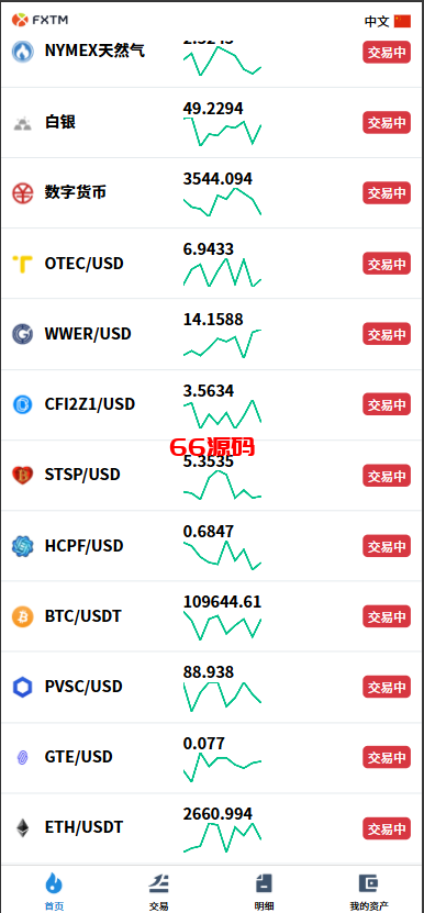 图片[6]-多语言海外外汇微交易微盘系统源码/虚拟币黄金期货外汇微盘-66源码